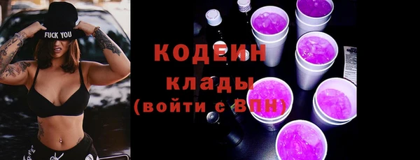 ECSTASY Алзамай