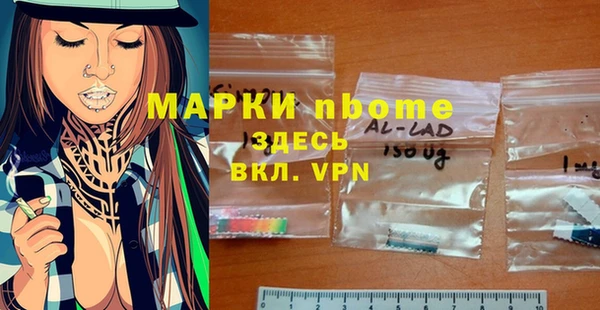 ECSTASY Алзамай