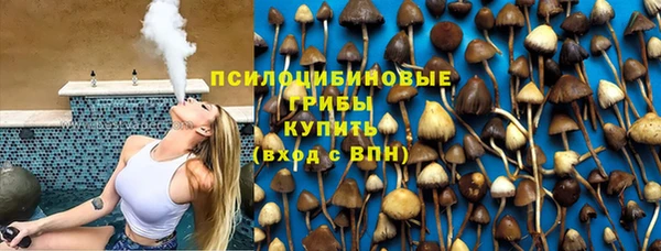 apvp Алексин