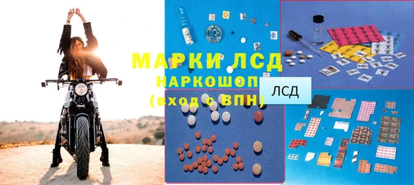 ECSTASY Алзамай