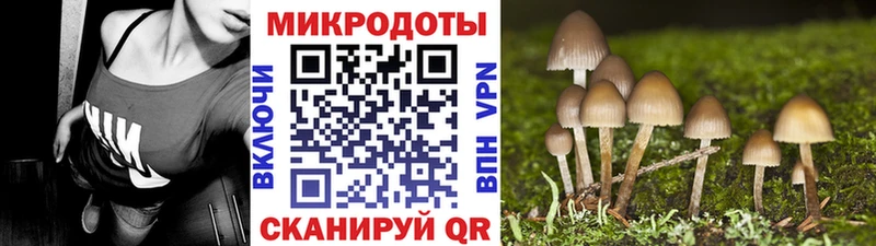 Галлюциногенные грибы мицелий  Дегтярск 